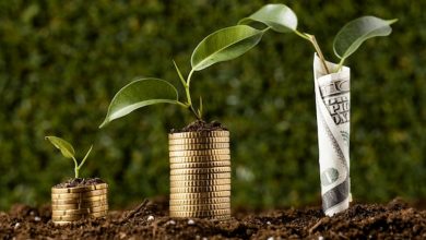 Photo of Discover Why Sustainable Investing is Important Today